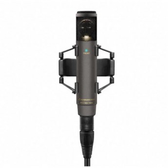 Конденсаторные микрофоны SENNHEISER MKH 800 TWIN NX 102793